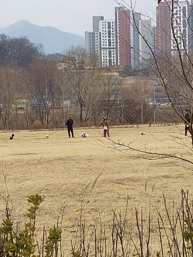 KakaoTalk_20240212_094857909